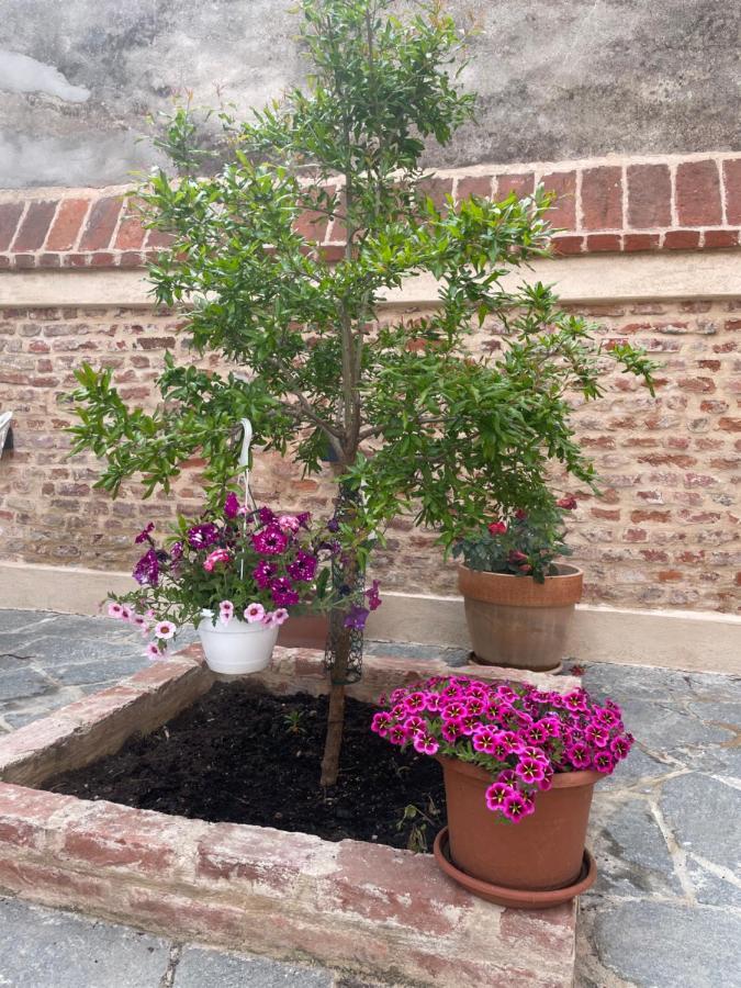 Residenza Nikol Appartamento Giulia Καζάλε Μονφερράτο Εξωτερικό φωτογραφία